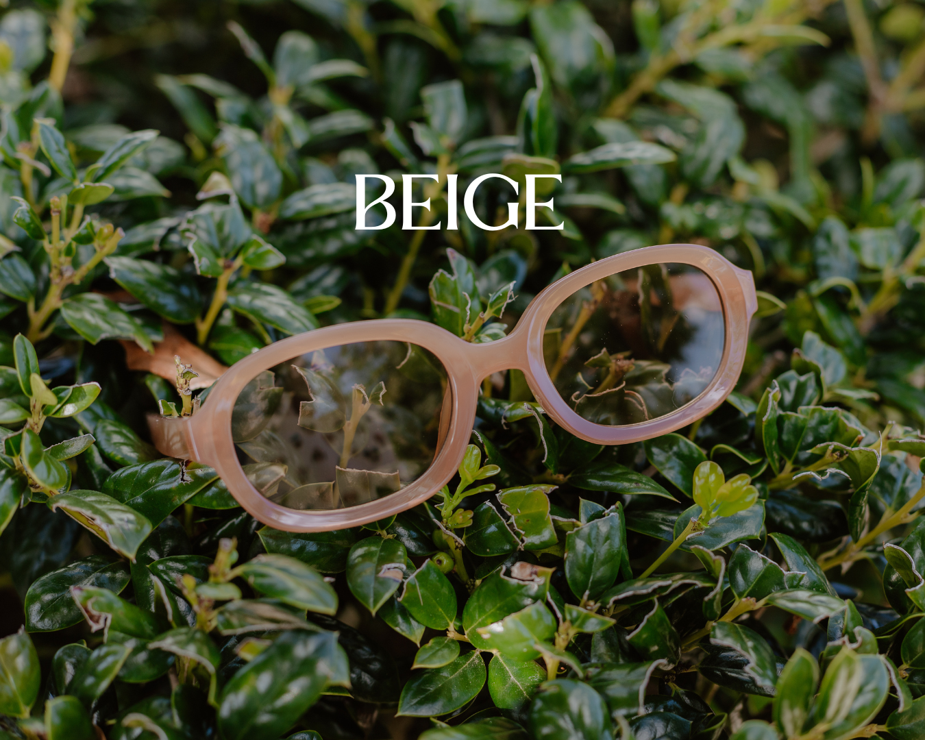 Chic Sunglasses