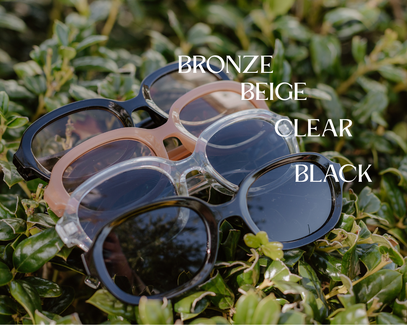Chic Sunglasses