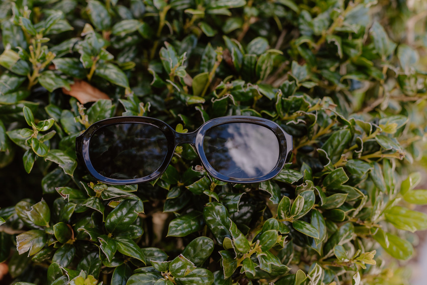 Chic Sunglasses