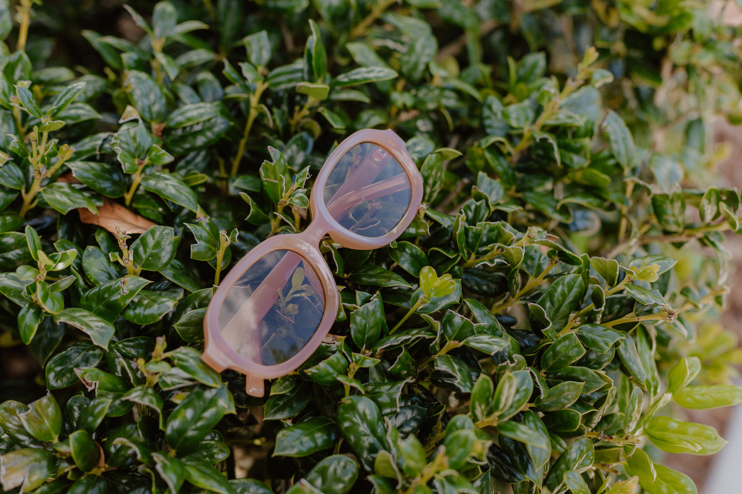 Chic Sunglasses