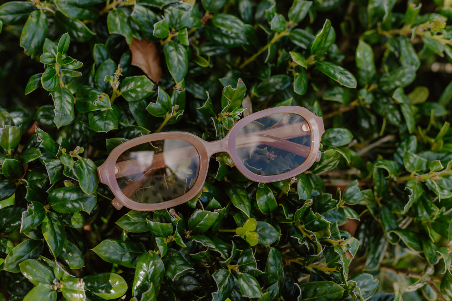 Chic Sunglasses