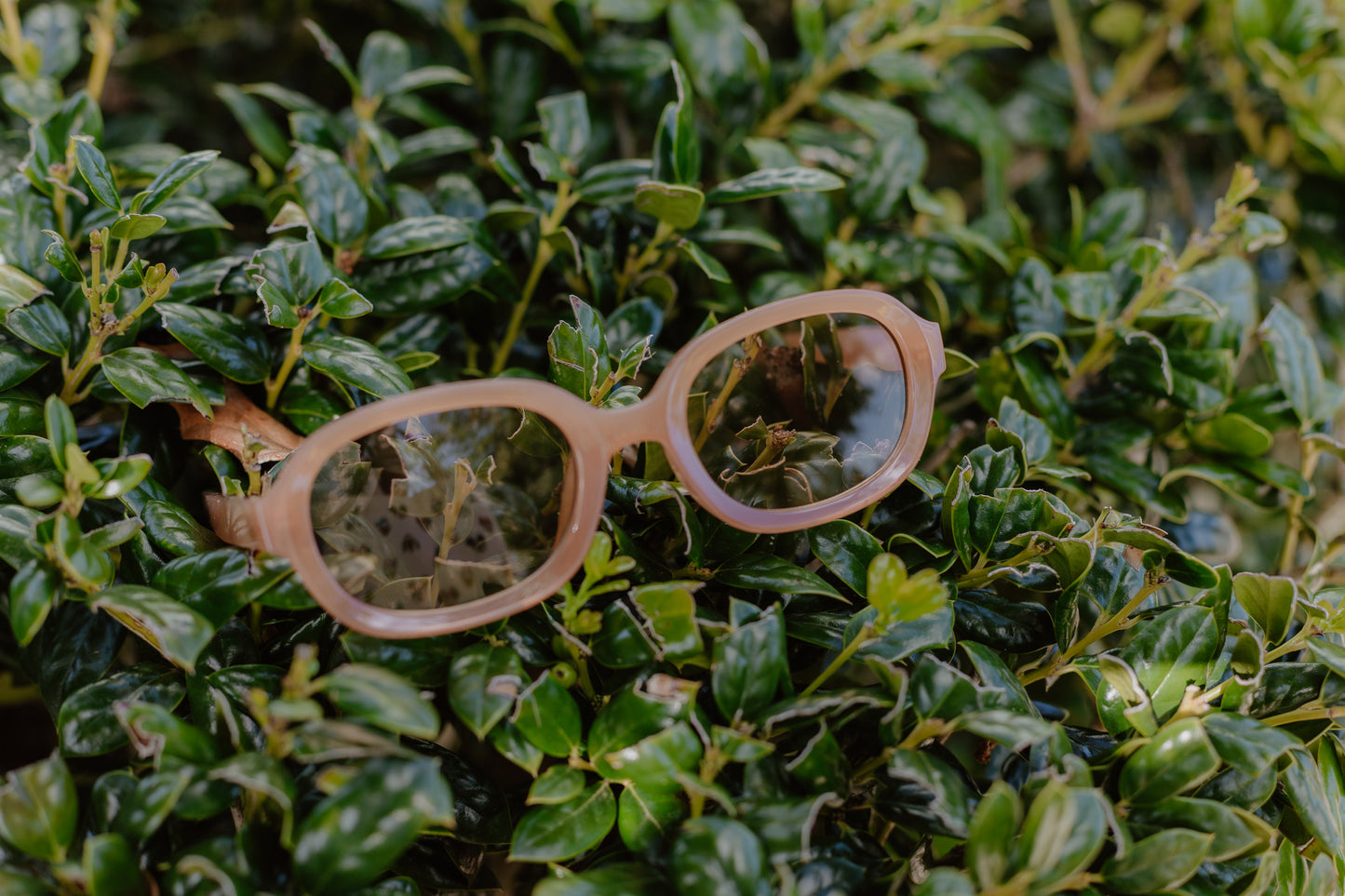 Chic Sunglasses