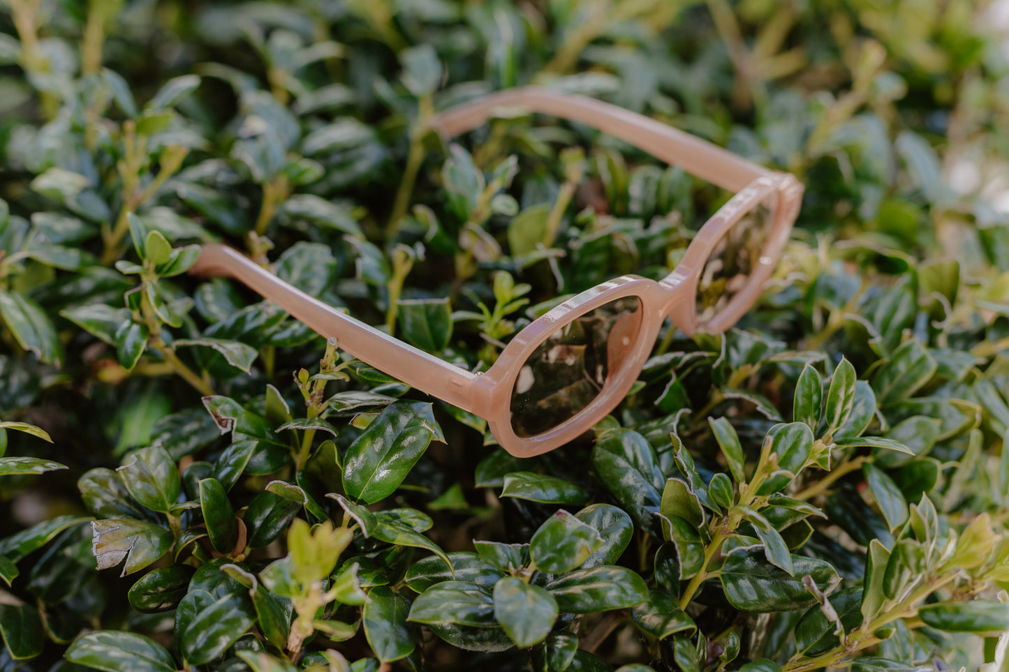 Chic Sunglasses
