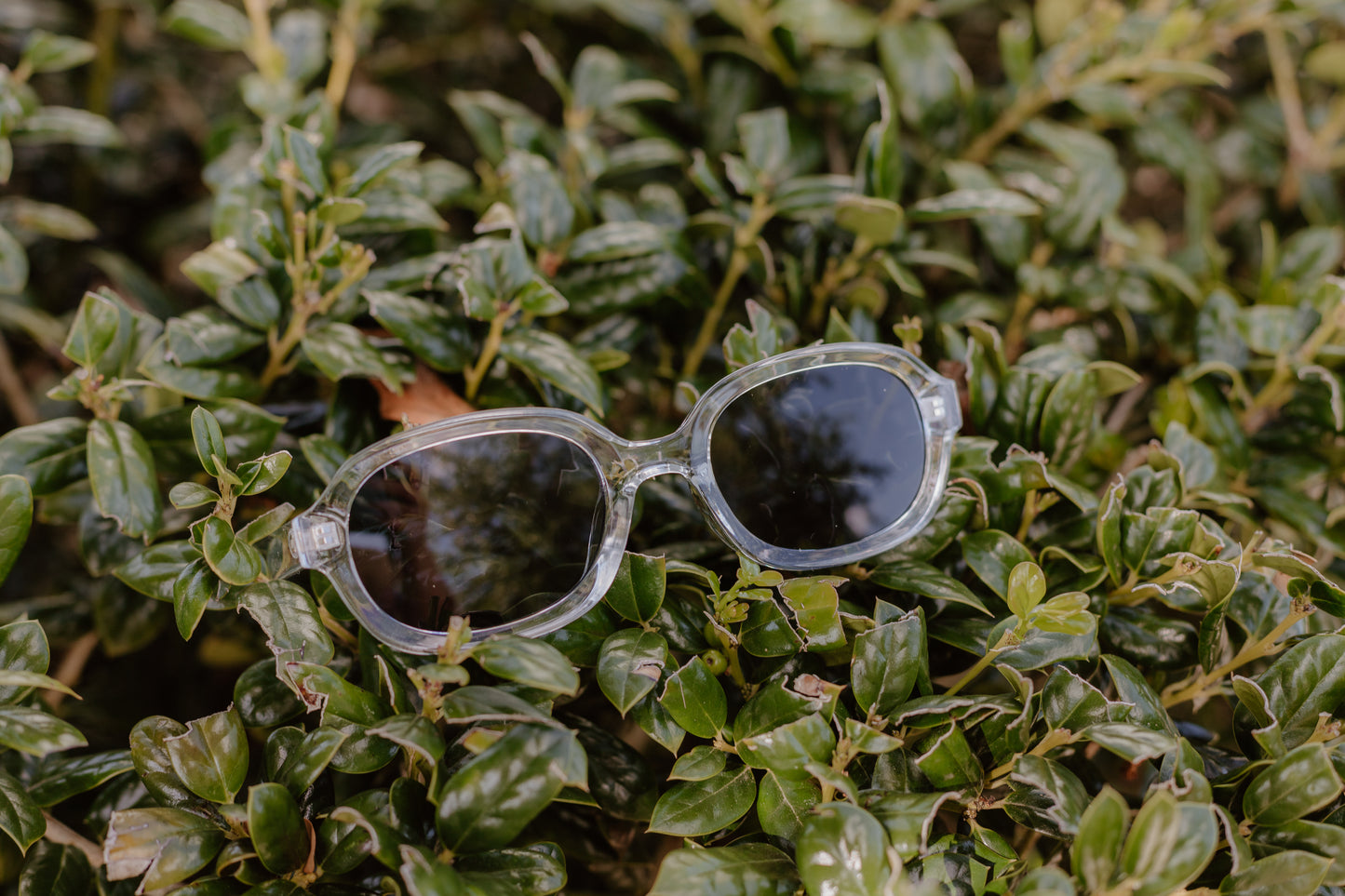 Chic Sunglasses