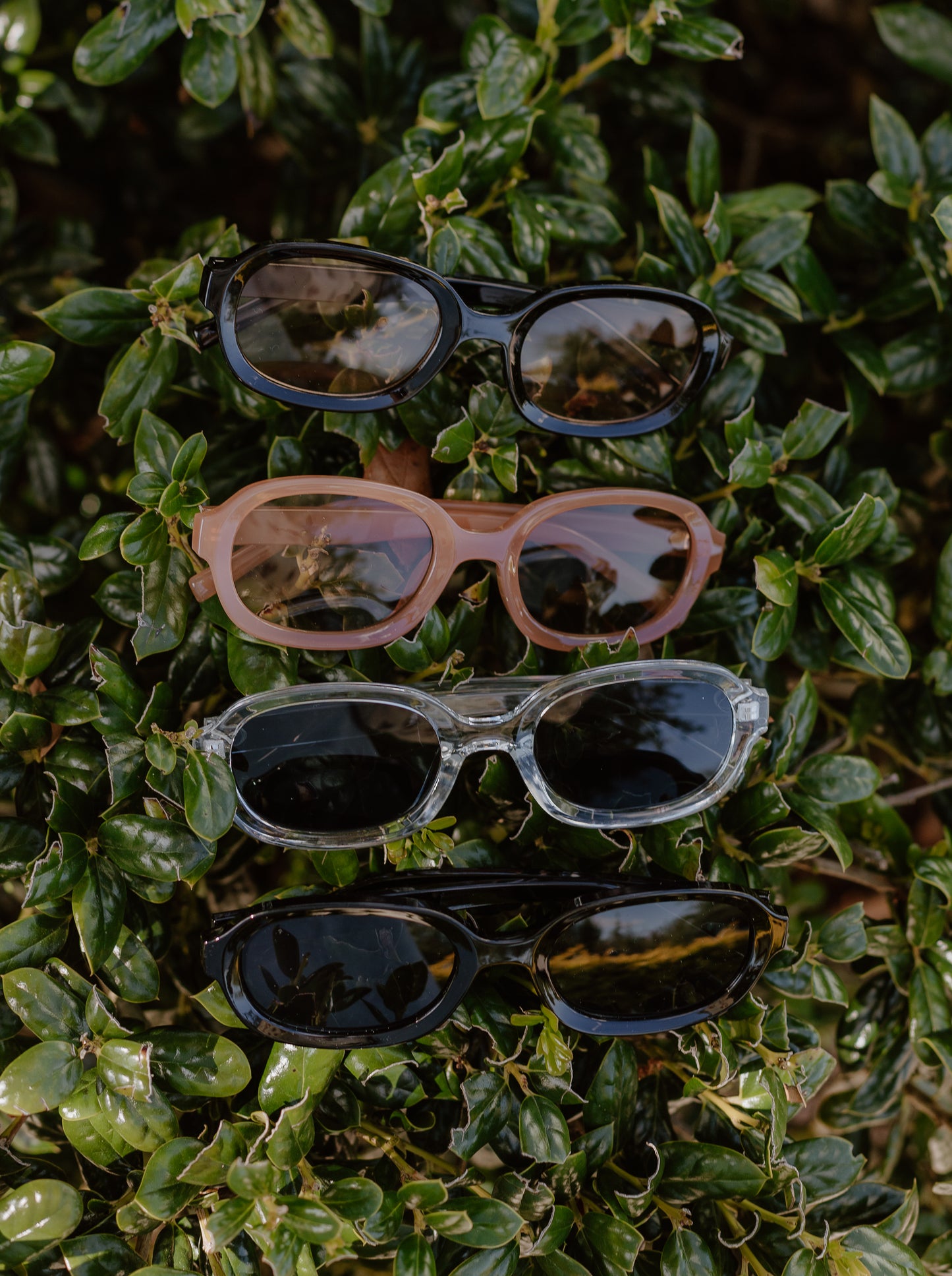 Chic Sunglasses