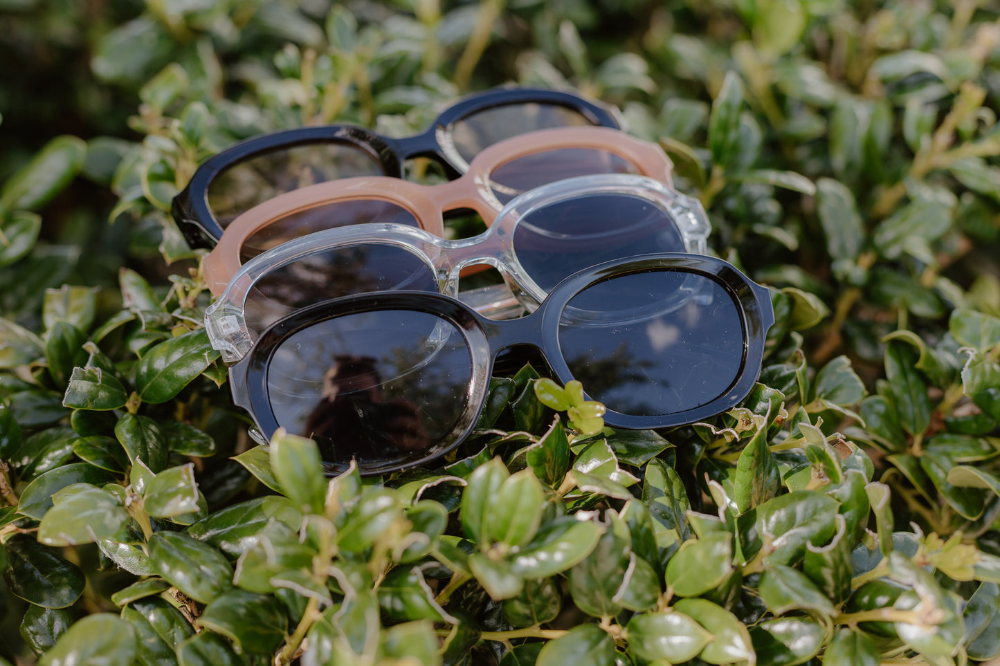 Chic Sunglasses
