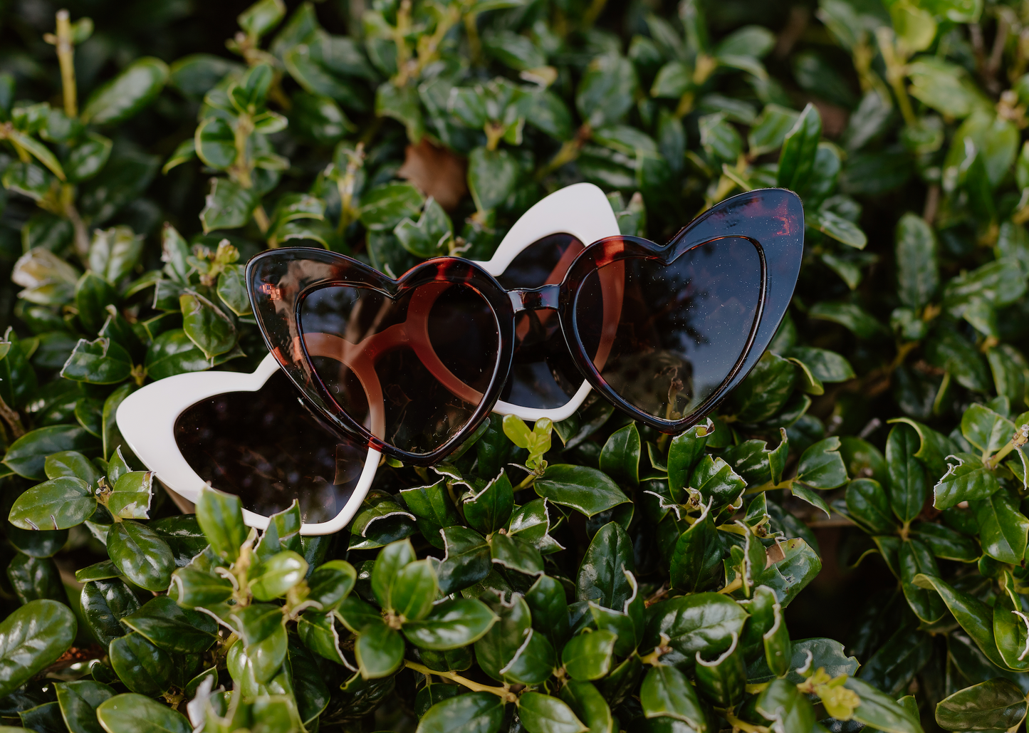 Heart Eyes Sunglasses