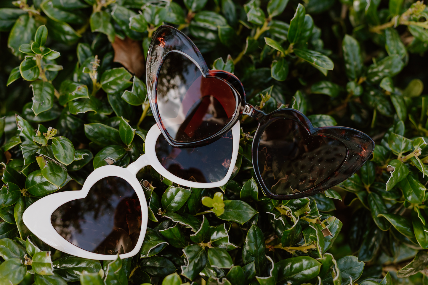 Heart Eyes Sunglasses