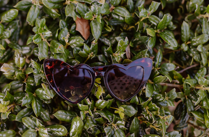 Heart Eyes Sunglasses